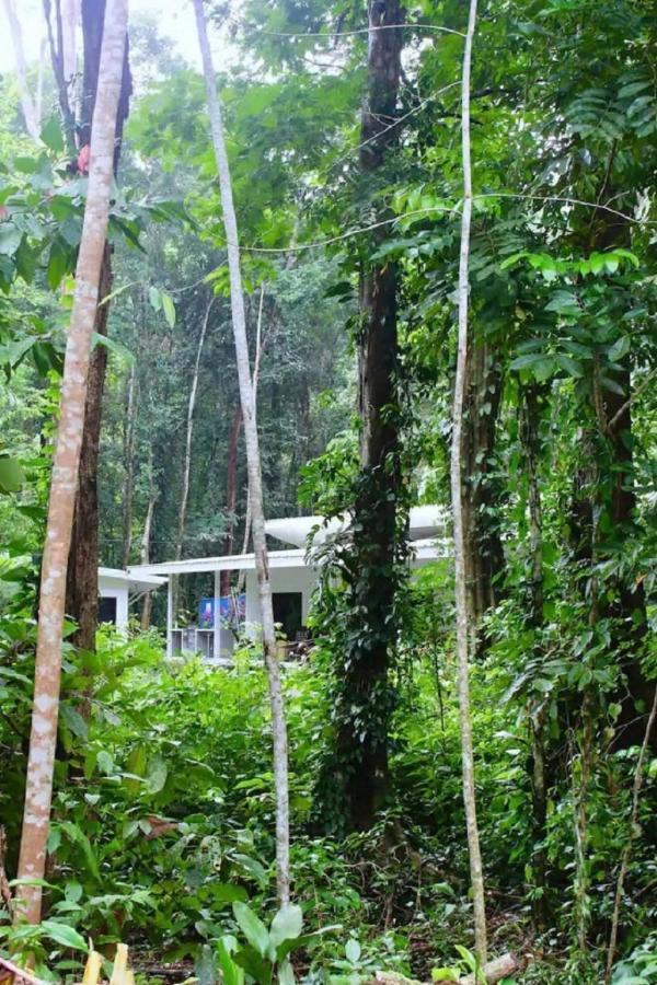 Casa Eden - Modern Peaceful Jungle Apartments Cocles Esterno foto