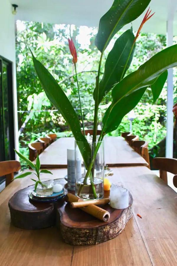 Casa Eden - Modern Peaceful Jungle Apartments Cocles Esterno foto