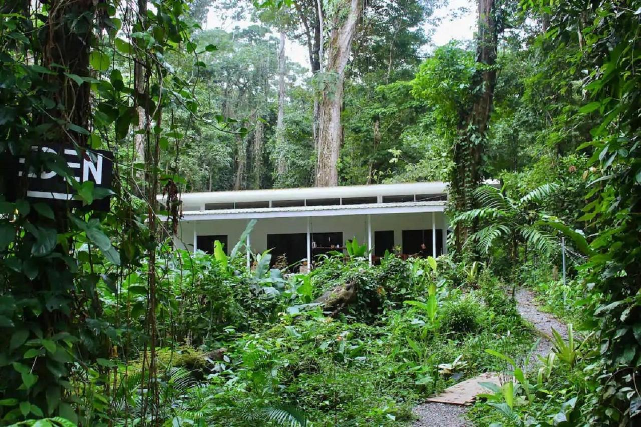 Casa Eden - Modern Peaceful Jungle Apartments Cocles Esterno foto