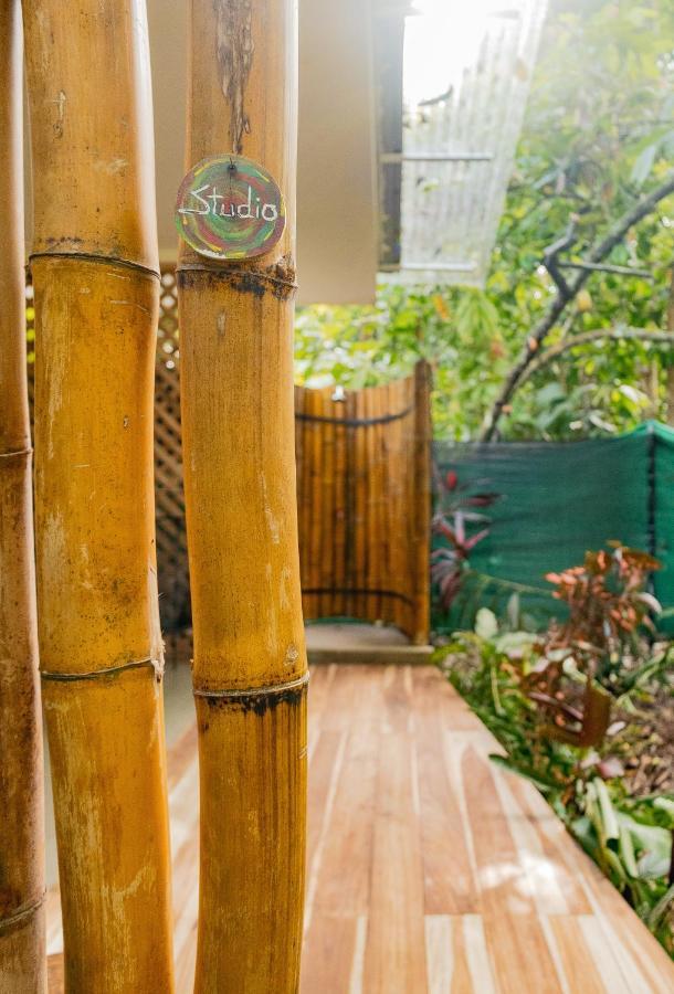 Casa Eden - Modern Peaceful Jungle Apartments Cocles Esterno foto