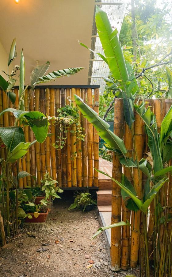 Casa Eden - Modern Peaceful Jungle Apartments Cocles Esterno foto