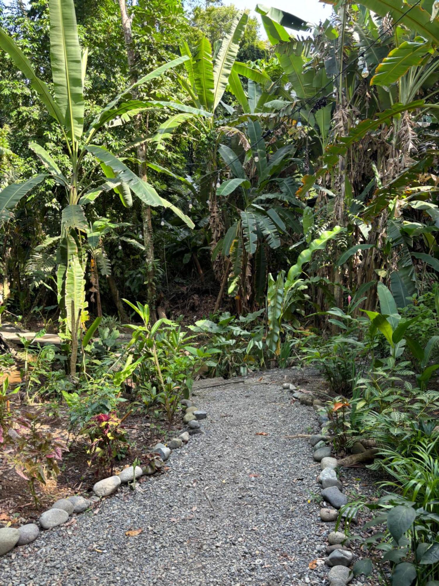 Casa Eden - Modern Peaceful Jungle Apartments Cocles Esterno foto