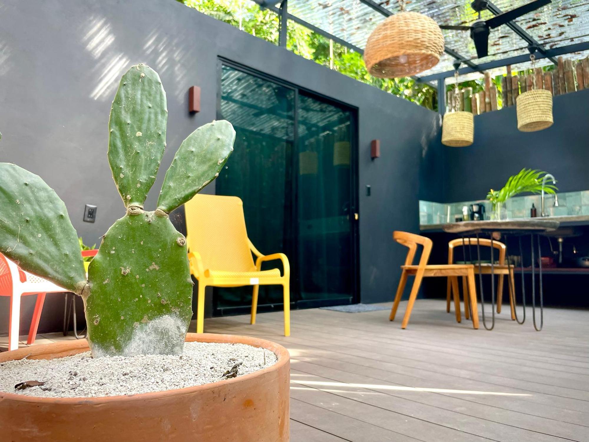 Casa Eden - Modern Peaceful Jungle Apartments Cocles Esterno foto